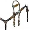 Shiloh Horse & Dog One Ear Turquoise Floral Tooled Headstall Set