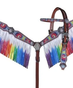 Shiloh Rainbow Ombre Tie Dye Headstall Set