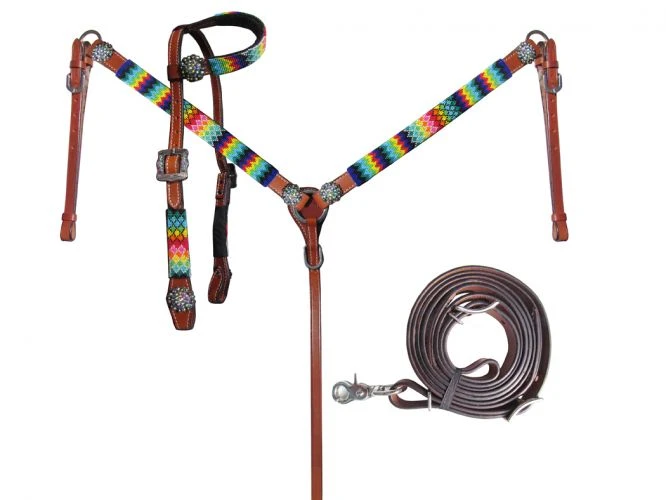 Shiloh Handcrafted Rainbow Beaded Headstall Set for Horses - Premium Horse & Dog Gear 3 Shiloh Rainbow Beaded Headstall Set Headstall Sets