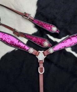 Shiloh Pink & Silver Sequin Headstall Set