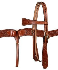Shiloh Horse & Dog Medium Oil Acorn Headstall Set