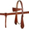 Shiloh Medium Oil Tooled Plain Headstall Set Horse & Dog