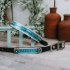 Shiloh Blue & Silver Studded Dog Collar Horse & Dog