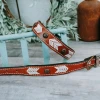 Shiloh Brown Concho Stitched Dog Collar