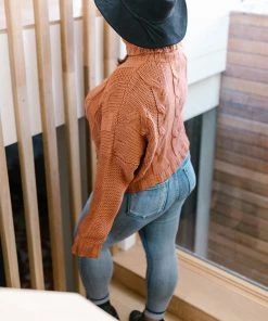 Ave Shops Classic Cable Knit Sweater In Ginger Spice