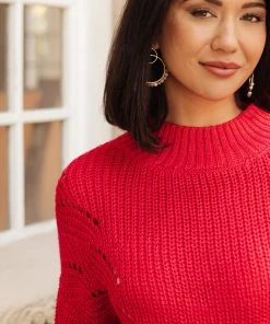 Ave Shops Clothing Cozy Casual Sweater In Lipstick