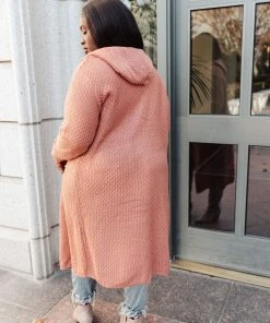 Ave Shops Cardigans, Sweaters, Outerwear Hooded Cardigan In Red Sand