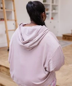 Ave Shops Clothing Velvet Icon Hoodie In Mauve
