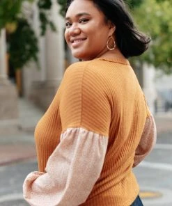 Ave Shops Jennica Top In Warm Spice | Long Sleeve Tops for Women | Elegant Tops & Blouses 25 Ave Shops Jennica Top In Warm Spice