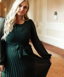 Ave Shops Dresses, Rompers, Jumpsuits Simple And Pleated Dress In Eden