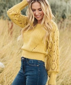 Ave Shops Marley Cropped Sweater Cardigans, Sweaters, Outerwear