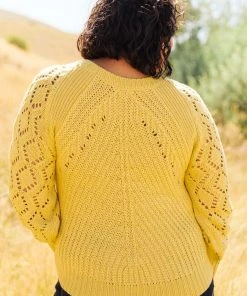 Ave Shops Marley Cropped Sweater Cardigans, Sweaters, Outerwear