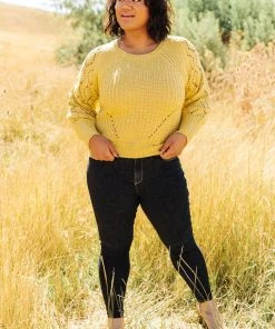 Ave Shops Marley Cropped Sweater Cardigans, Sweaters, Outerwear