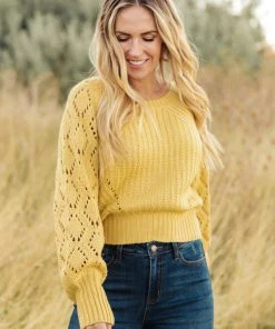 Ave Shops Marley Cropped Sweater Cardigans, Sweaters, Outerwear