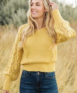 Ave Shops Marley Cropped Sweater Cardigans, Sweaters, Outerwear