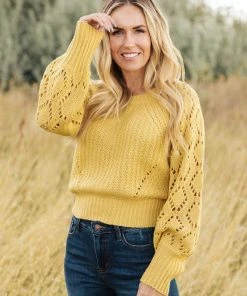 Ave Shops Marley Cropped Sweater Cardigans, Sweaters, Outerwear