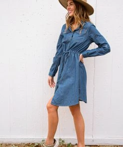 Ave Shops Midwest Denim Dress