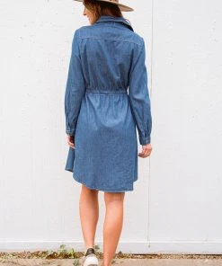Ave Shops Midwest Denim Dress
