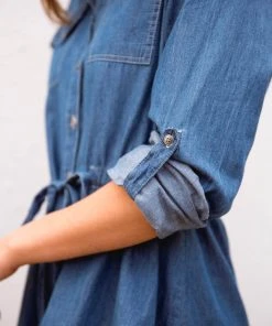 Ave Shops Midwest Denim Dress
