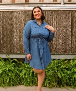 Ave Shops Midwest Denim Dress