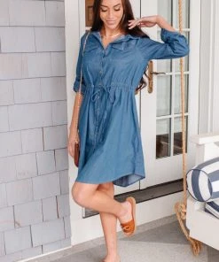 Ave Shops Midwest Denim Dress