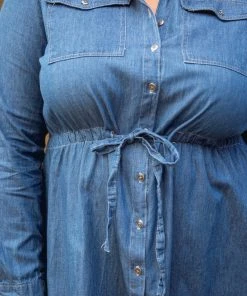 Ave Shops Midwest Denim Dress