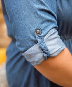 Ave Shops Midwest Denim Dress