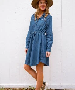 Ave Shops Midwest Denim Dress