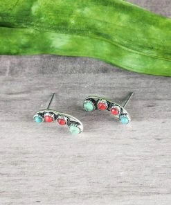 Blue Tortoise Jewelry Multi Color Petite Curved Stone Earrings