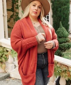 Ave Shops Not Your Grandmother's Cardigan In Rust Cardigans, Sweaters, Outerwear