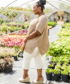 Ave Shops New Arrivals Pure Bliss Knit Top In Taupe