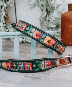 Shiloh Horse & Dog Serape Print Dog Collar