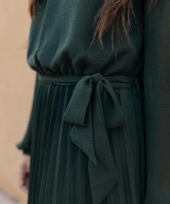 Ave Shops Dresses, Rompers, Jumpsuits Simple And Pleated Dress In Eden