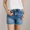 Ave Shops Bottoms & Jeans Stevie Hi-Rise Destroyed Cutoffs