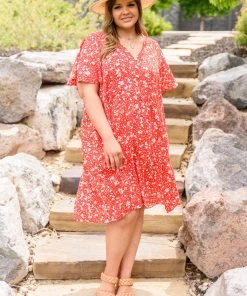 Ave Shops The Way Back Dress