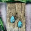 Blue Tortoise Turquoise Cactus Teardrop Earrings