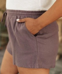Ave Shops Simplicity Shorts In Gray