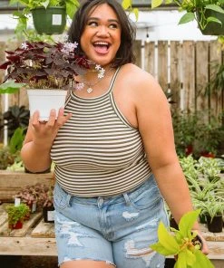 Ave Shops Up Next Tank