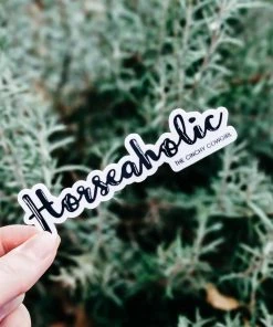 The Cinchy Cowgirl Stickers Horseaholic Sticker