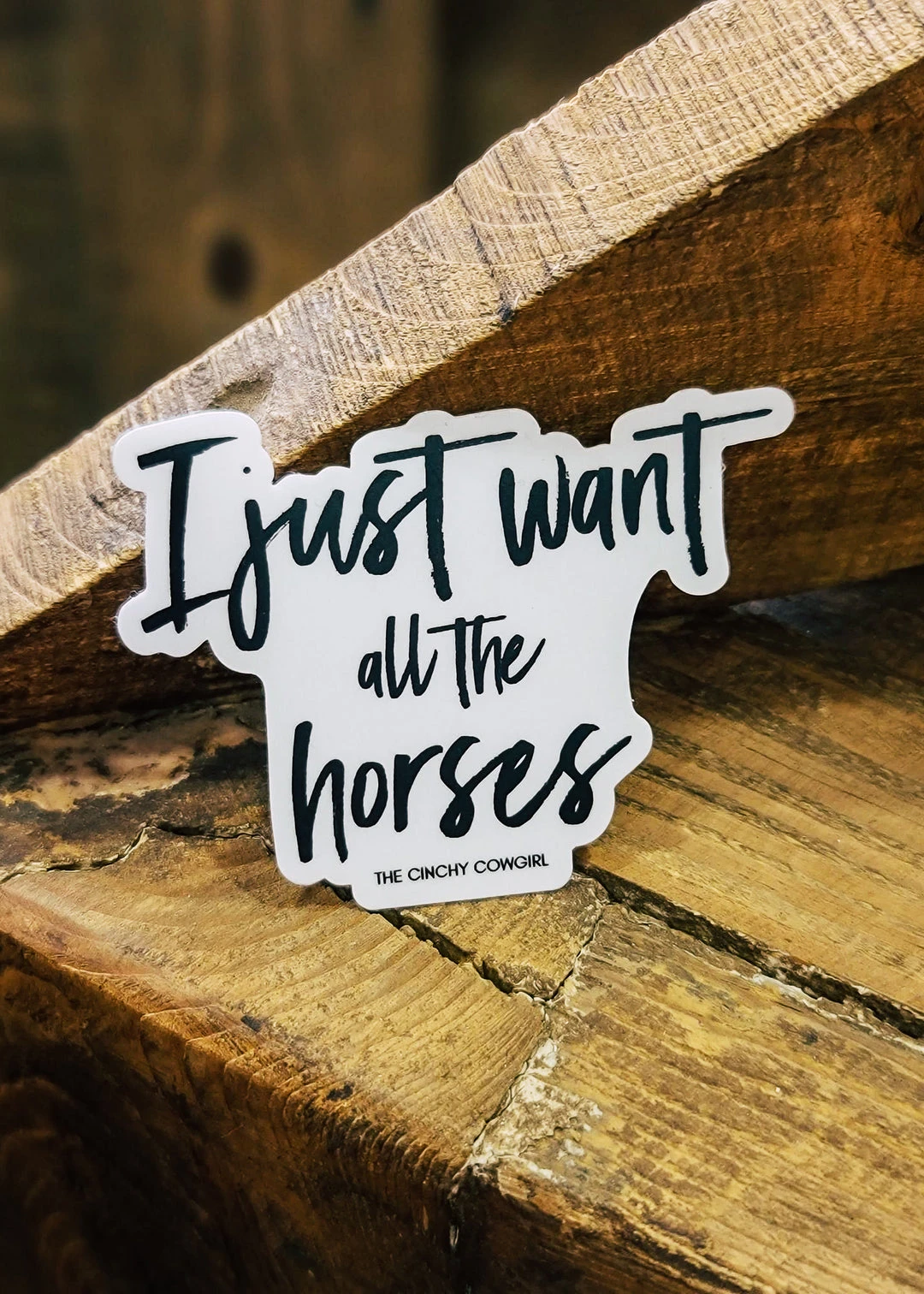 Cinchy Cowgirl 'I Just Want All The Horses' Sticker - Fun & Unique Gift for Horse Lovers 3 The Cinchy Cowgirl I Just Want All The Horses Sticker Stickers