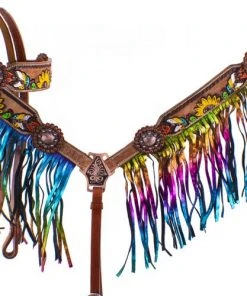Shiloh Rainbow Fringe Sunflower Headstall Set